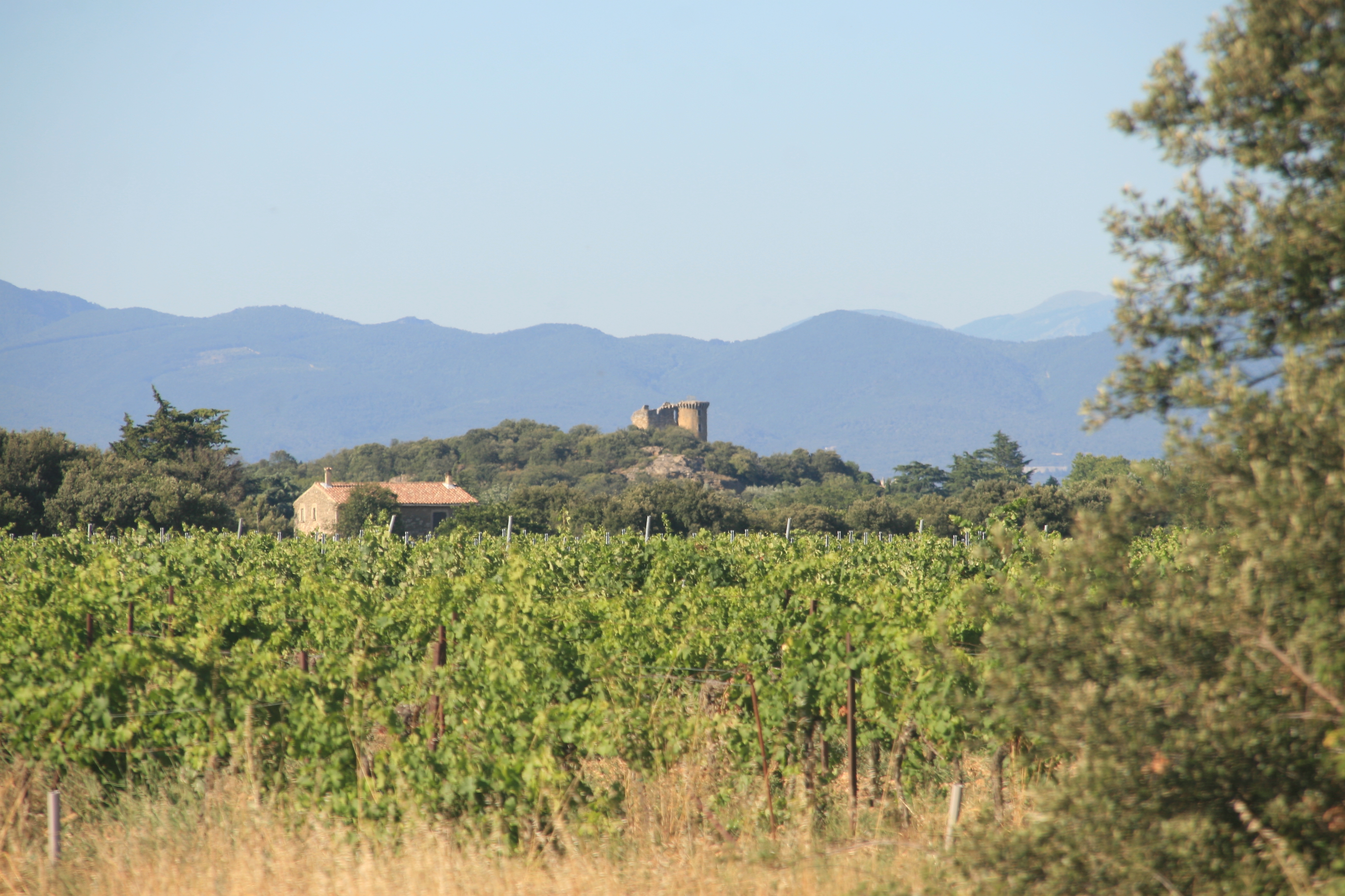 Une saison de vendanges au Domaine des Gravennes - Episode 1